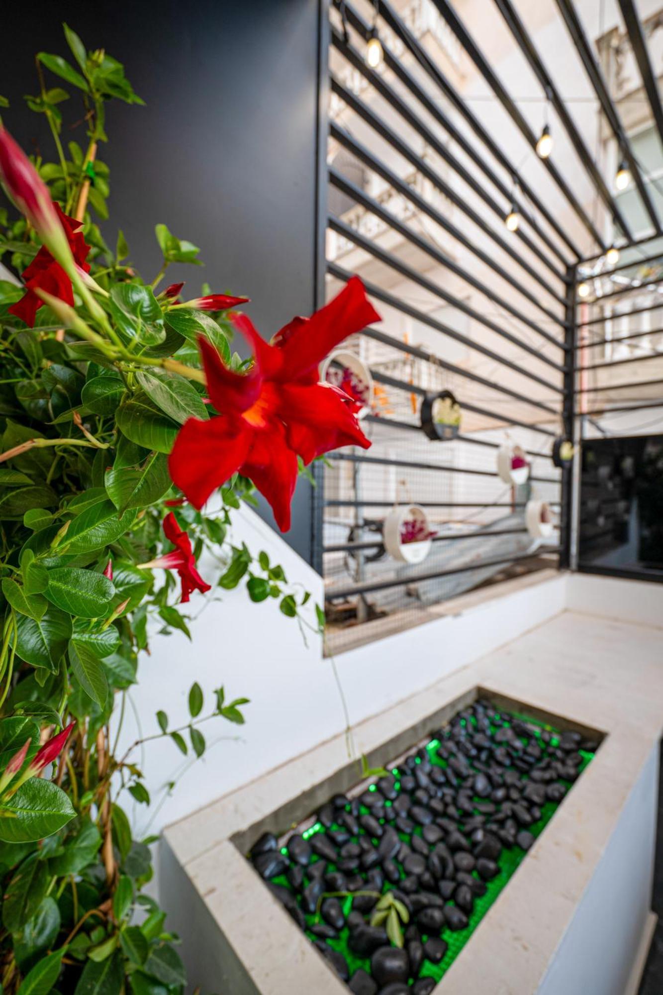 Mato Luxury Apartments Sarande Ngoại thất bức ảnh