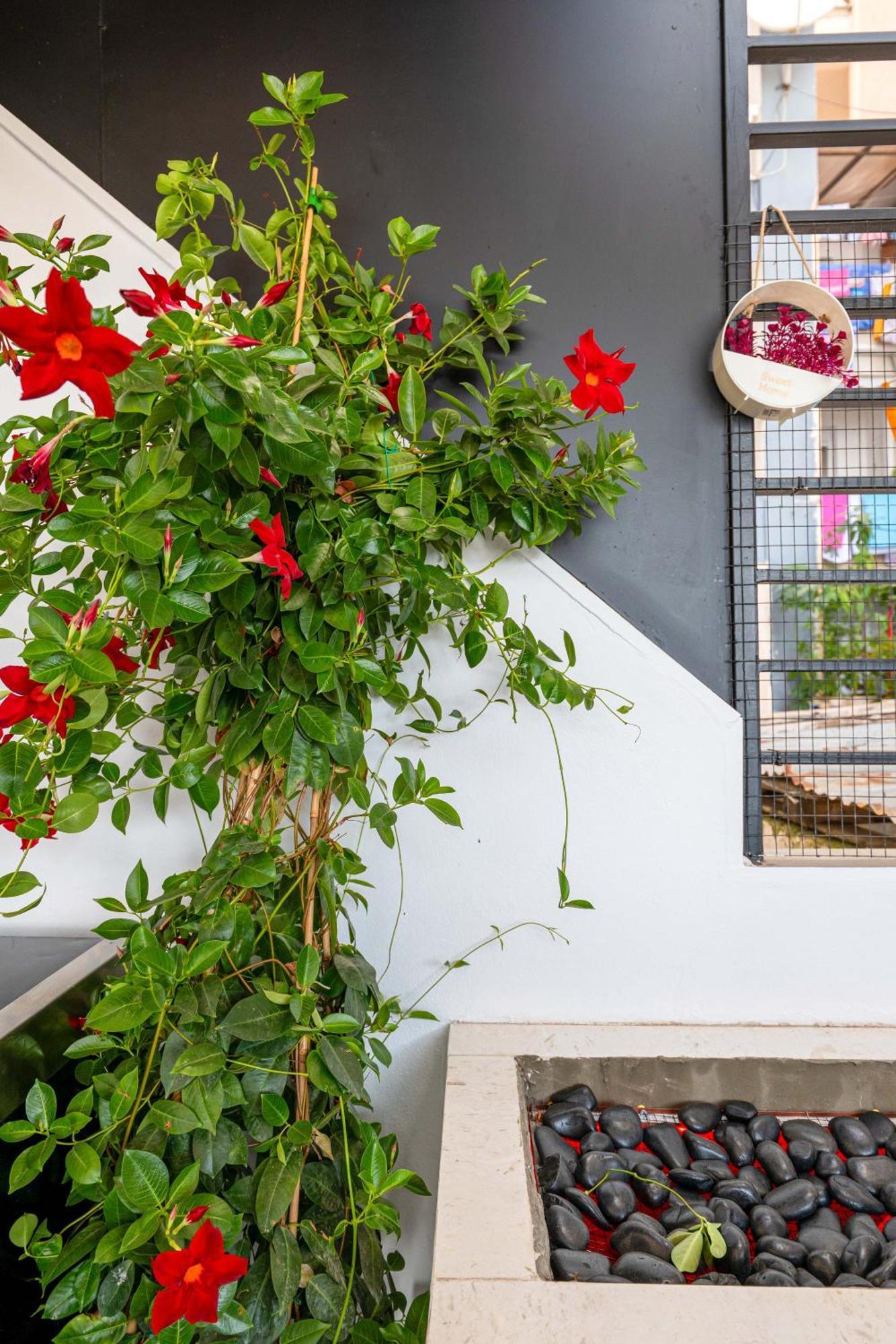 Mato Luxury Apartments Sarande Ngoại thất bức ảnh